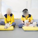 옐레드 애견유치원 & 애견호텔 광명점 이미지