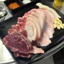 화로구이 | [안양 호계동 현지인 돼지고기 맛집] 골목화로구이 내돈내산 후기
