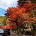 산생경로당 이미지