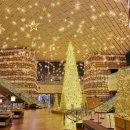 포레스트몰 이미지