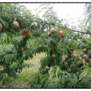 진원농장 이미지