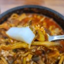 물만난 버섯 이미지