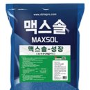 파워솔컨설팅 | 터널고추 재배 1~3주차 관리방법?