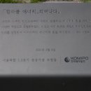 마포, 걷고싶은길 5코스 | 마포 걷고 싶은 길 10선. 5코스 - 와우! 홍대길 240514