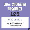 [중급편 125] 'She didn't seem / like + 명사'(그녀는 (명사)처럼 보이진 않았어) 이미지