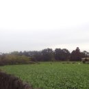 신양리입구 이미지