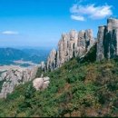 탑산농장 Daum카페