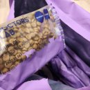 멀티플란트 덴탈 랩 | 강아지 영양관리 고민 끝! 내돈나 산 종합케어 사료 먹여본 후기