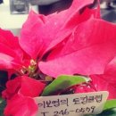 이보영토킹클럽장안학원