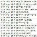 비앤비성형외과 이미지