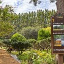 아가페식당 이미지