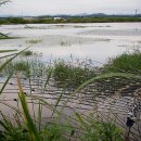 공간낚시 이미지