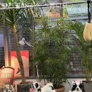 kplus | 논현동 필라테스 탄츠필라테스 스튜디오 솔직후기