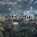 이웃집