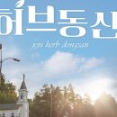 제주허브동산 이미지