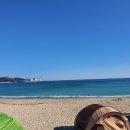 임랑해수욕장3 이미지