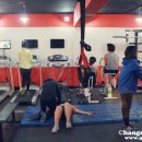 이젠피티 이미지