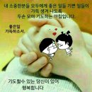 예쁜행복 이미지