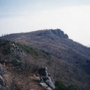 을목식당 이미지