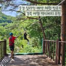 문경 짚라인 예약 체험 찐후기 경북 여행 액티비티 추천