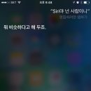 아바타 소프트웨어 이미지