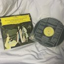 세레나데샵 이미지