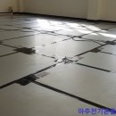 덕성초등학교 이미지