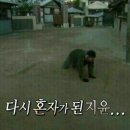 다프네하우스