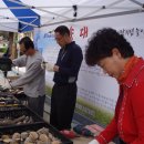 근덕초교 이미지