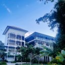 티리조트2 | [Day3-6] 아난타라 데사루 코스트 리조트 후기 #2 | 숙소 로비, 수영장 내돈내산 상세후기