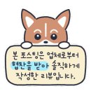 롯데몰 앞2 이미지