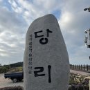 슬로시티? 노 스피드로 즐기기 청산도 여행 (2026. 3. 1. )