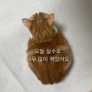 E-0111 | 0111 제El와 거대한 I 친구들의 만남