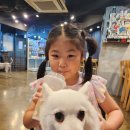 덕분에 행복하개 이미지