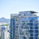 매일인터넷약국 이미지