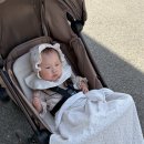 비봉인공습지 야구장 | 화성 유모차 끌고 갈만한 나들이 명소 비봉습지공원 그리고 카페 화림원 🌸