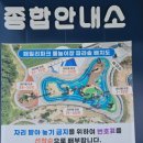 패밀리파크 물놀이시설(수영장) 이미지