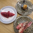 굿스시 | 원주 회전초밥 하코스시 후기 퀄리티 맛 굿인 맛집