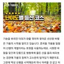 10월 28일 출석부- 2019 가을, 난이도별 등산 코스 추천(주왕산도 있어요~^^) 이미지