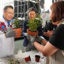 마을정원사 프로그램 이미지