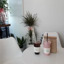 Brazza (브라차) 이미지