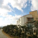 뜨리바다 이미지