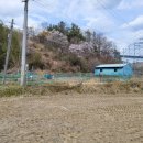참한 하우스