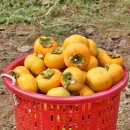 신도정보화마을 이미지