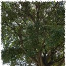 낙산요양원 이미지