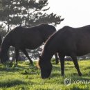 말