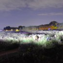 에코중앙로R 이미지