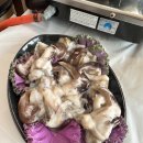 샘골수산 | [홍성 남당항]새조개 축제(주차정보, 샘물수산 솔직후기)