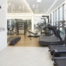 짐엑스텐