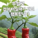 여행클럽 - 화성시 동탄중앙로 200 | 여행클럽
